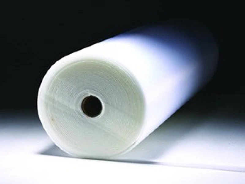 Foam Roll